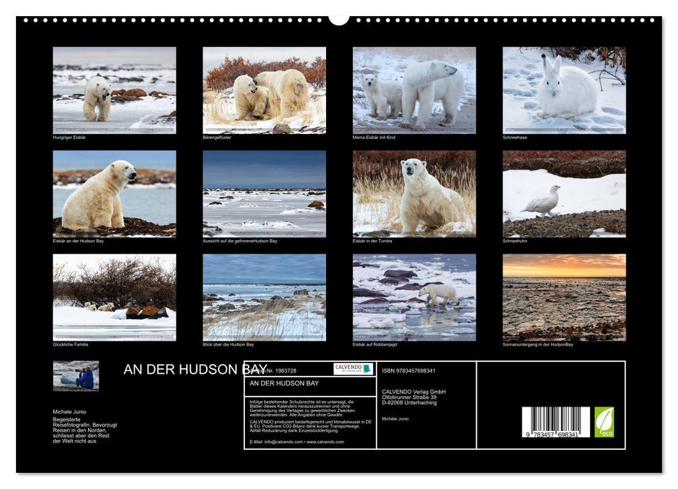 AN DER HUDSON BAY (CALVENDO Premium Wandkalender 2026)