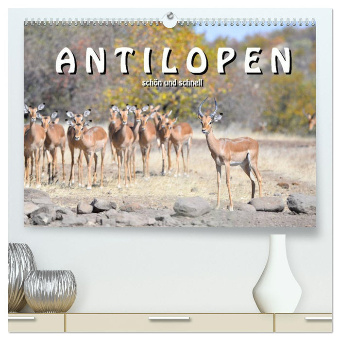 Antilopen, schön und schnell (CALVENDO Premium Wandkalender 2026)