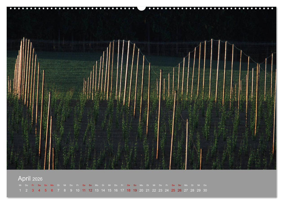Hallertau (CALVENDO Premium Wandkalender 2026)
