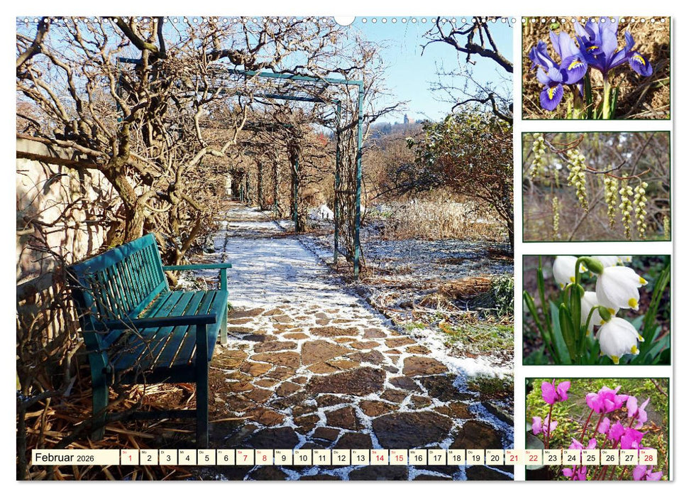 Im Hermannshof - Ein Traumgarten in Weinheim (CALVENDO Premium Wandkalender 2026)