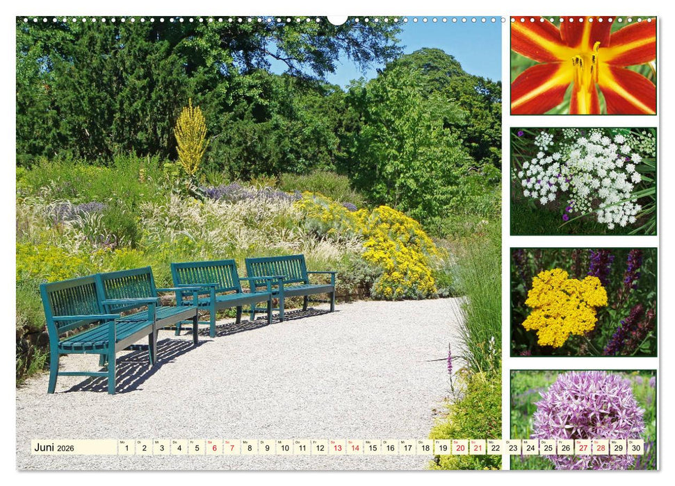 Im Hermannshof - Ein Traumgarten in Weinheim (CALVENDO Premium Wandkalender 2026)