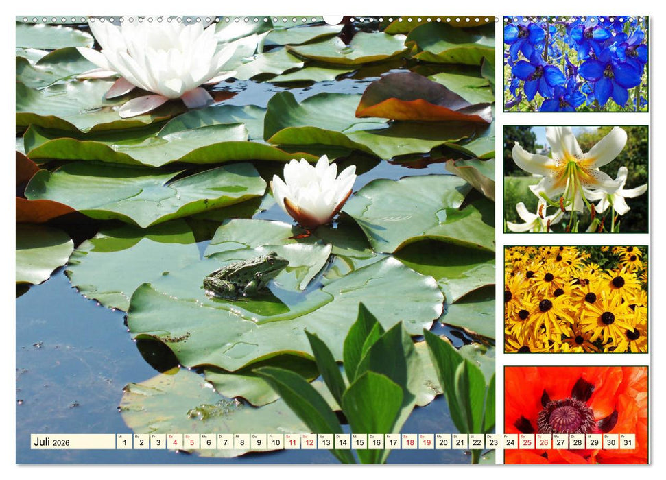 Im Hermannshof - Ein Traumgarten in Weinheim (CALVENDO Premium Wandkalender 2026)