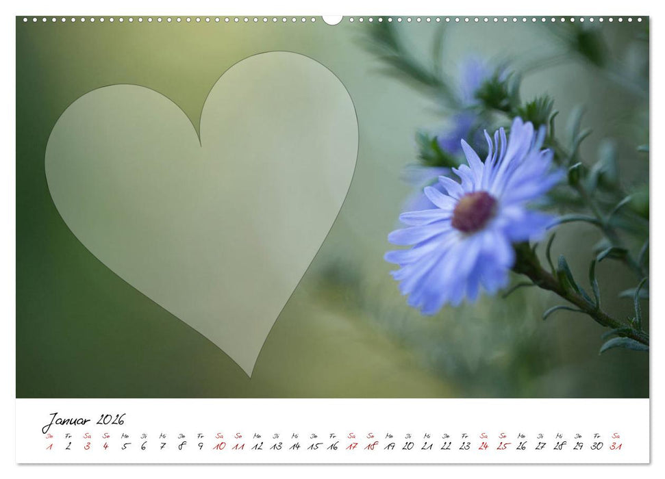 Blauer Blütentraum - Bastelkalender (CALVENDO Premium Wandkalender 2026)