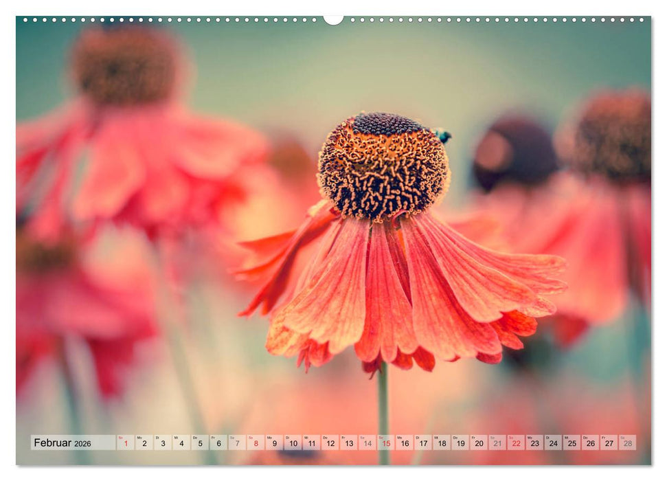 Farbenfroher Blütentraum (CALVENDO Premium Wandkalender 2026)
