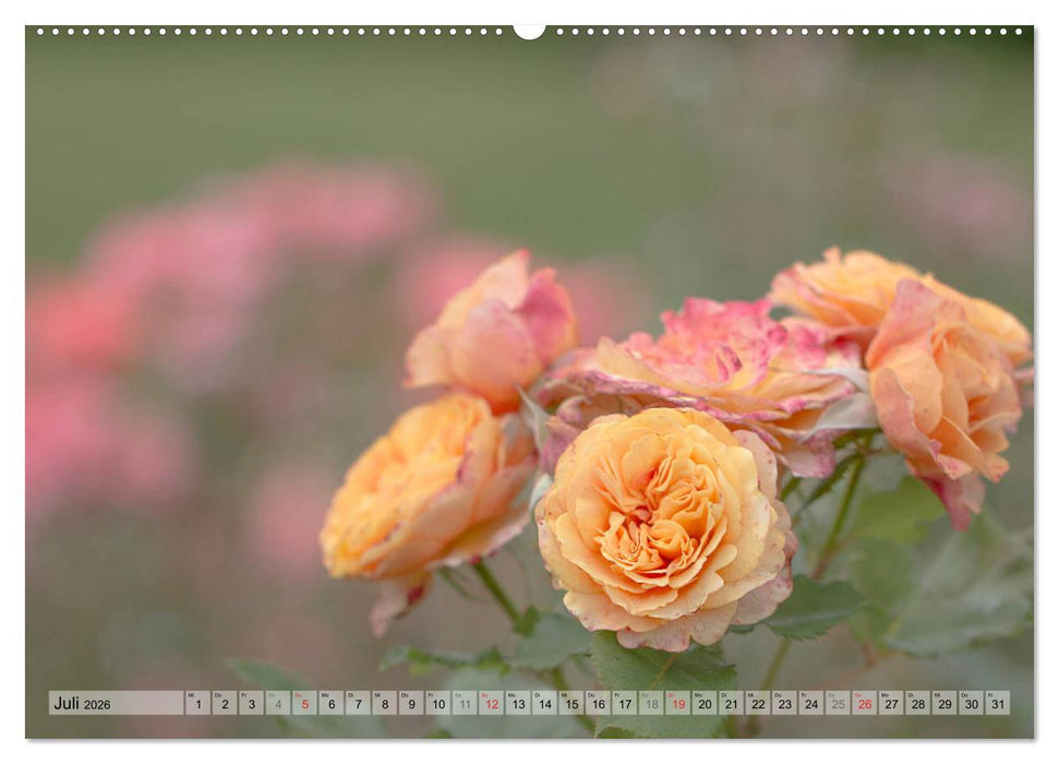 Farbenfroher Blütentraum (CALVENDO Premium Wandkalender 2026)