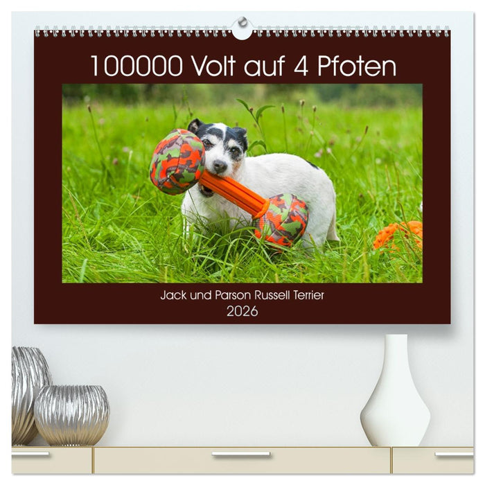 100000 Volt auf vier Pfoten - Jack und Parson Russell Terrier (CALVENDO Premium Wandkalender 2026)