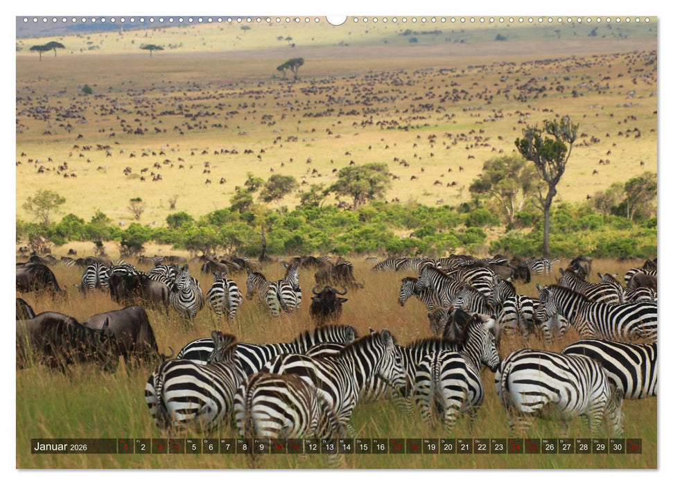 Afrika - Zauber der Wildnis (CALVENDO Premium Wandkalender 2026)
