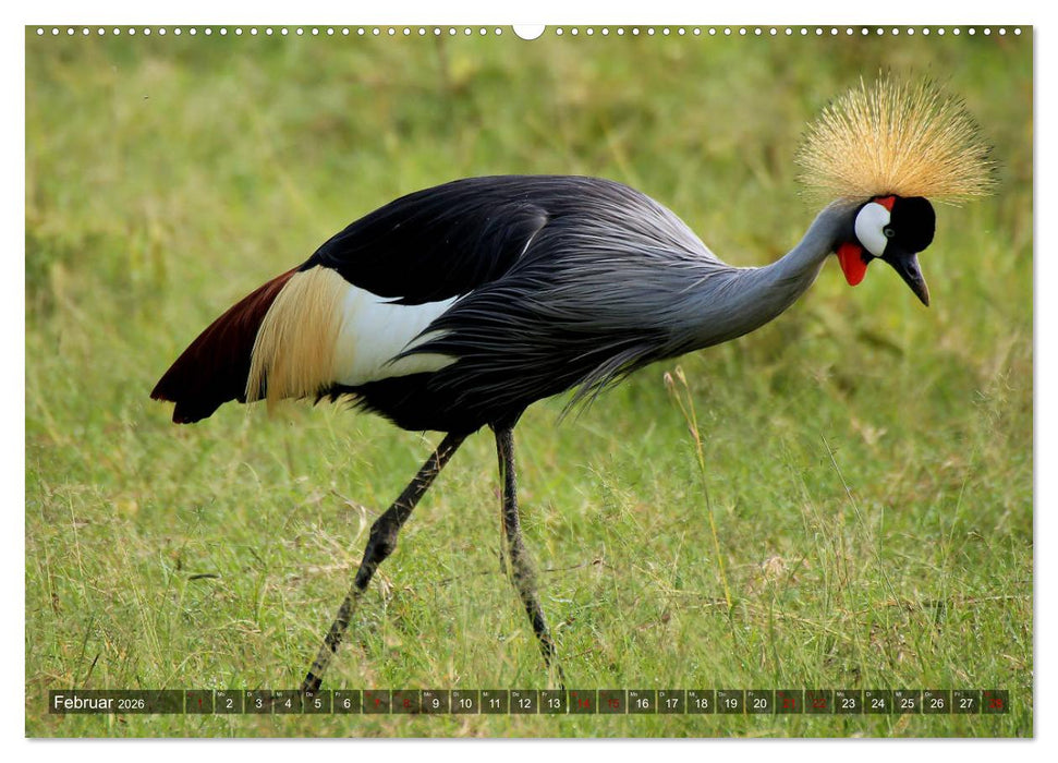 Afrika - Zauber der Wildnis (CALVENDO Premium Wandkalender 2026)