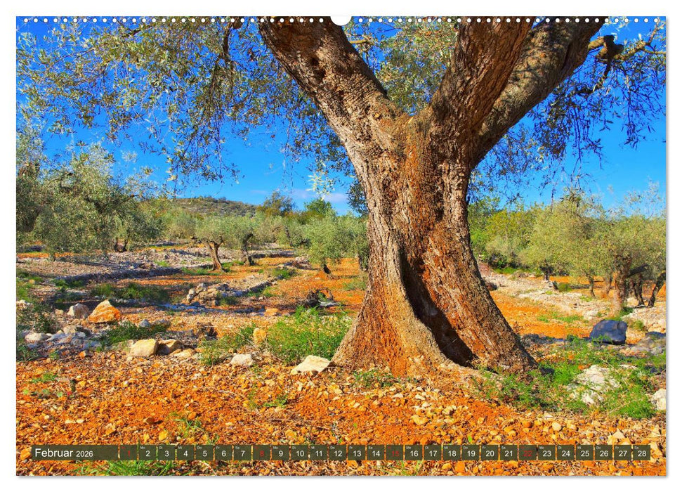 Costa del Azahar - Küste der Orangenblüte (CALVENDO Premium Wandkalender 2026)