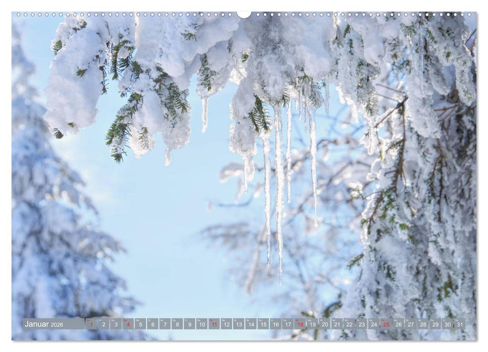 Erzgebirge - Reiches kulturelles Erbe und erholsame Natur (CALVENDO Premium Wandkalender 2026)