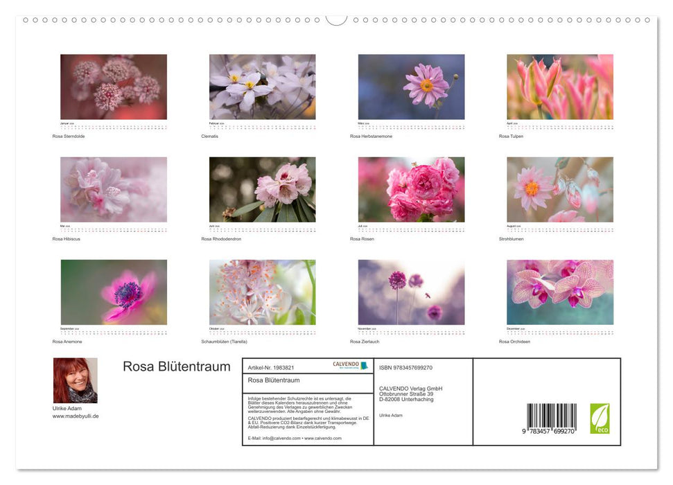 Rosa Blütentraum (CALVENDO Premium Wandkalender 2026)