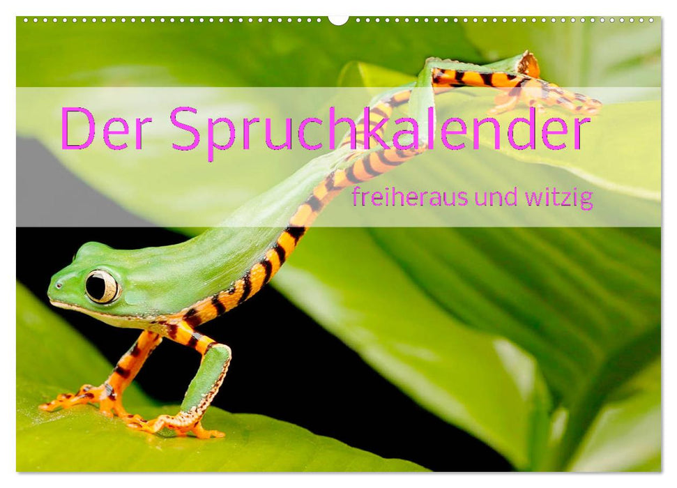 Der Spruchkalender - freiheraus und witzig (CALVENDO Wandkalender 2026)