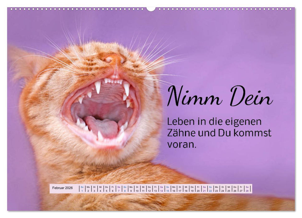 Der Spruchkalender - freiheraus und witzig (CALVENDO Wandkalender 2026)