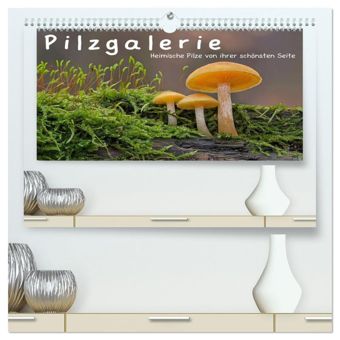 Pilzgalerie - Heimische Pilze von ihrer schönsten Seite (CALVENDO Premium Wandkalender 2026)