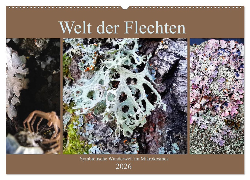 Welt der Flechten (CALVENDO Wandkalender 2026)