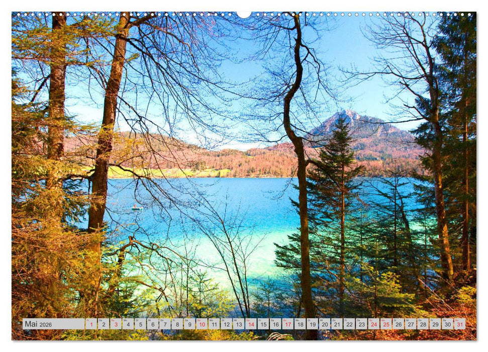 Rund um den Fuschlsee (CALVENDO Wandkalender 2026)