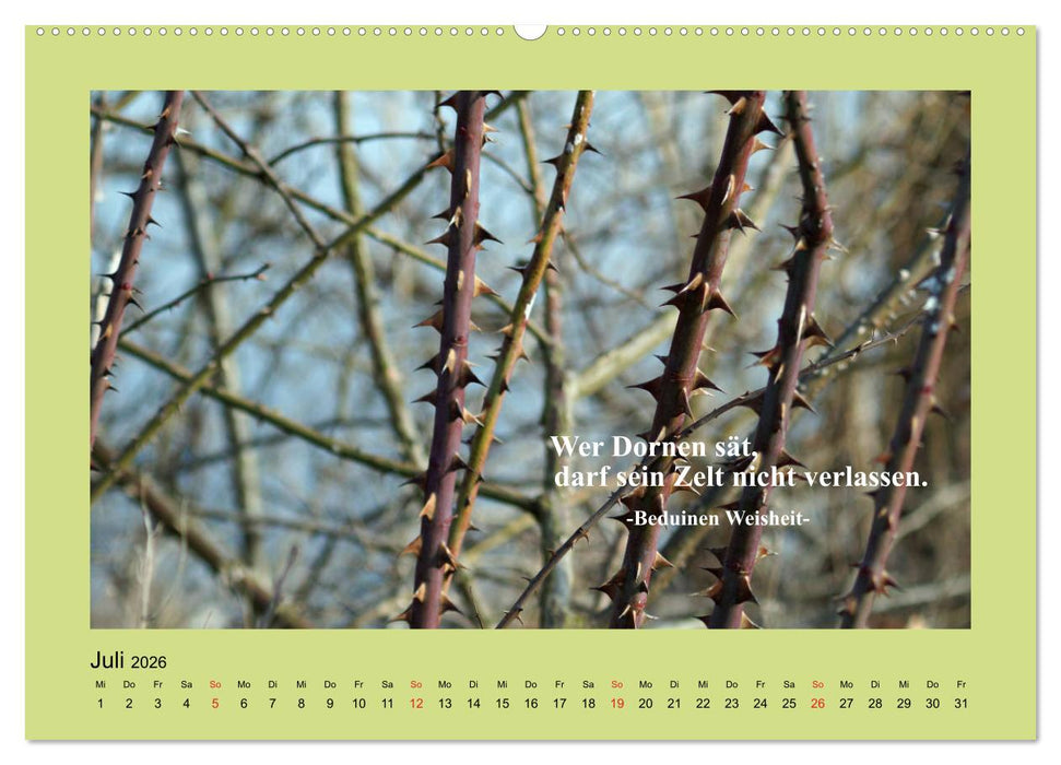 Lebensweisheiten mit Bildern unterlegt (CALVENDO Premium Wandkalender 2026)
