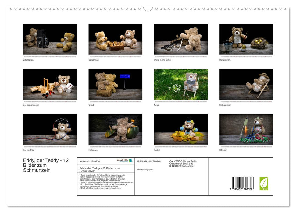 Eddy, der Teddy - 12 Bilder zum Schmunzeln (CALVENDO Premium Wandkalender 2026)