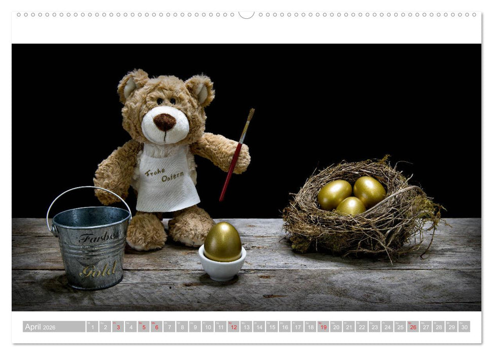 Eddy, der Teddy - 12 Bilder zum Schmunzeln (CALVENDO Premium Wandkalender 2026)