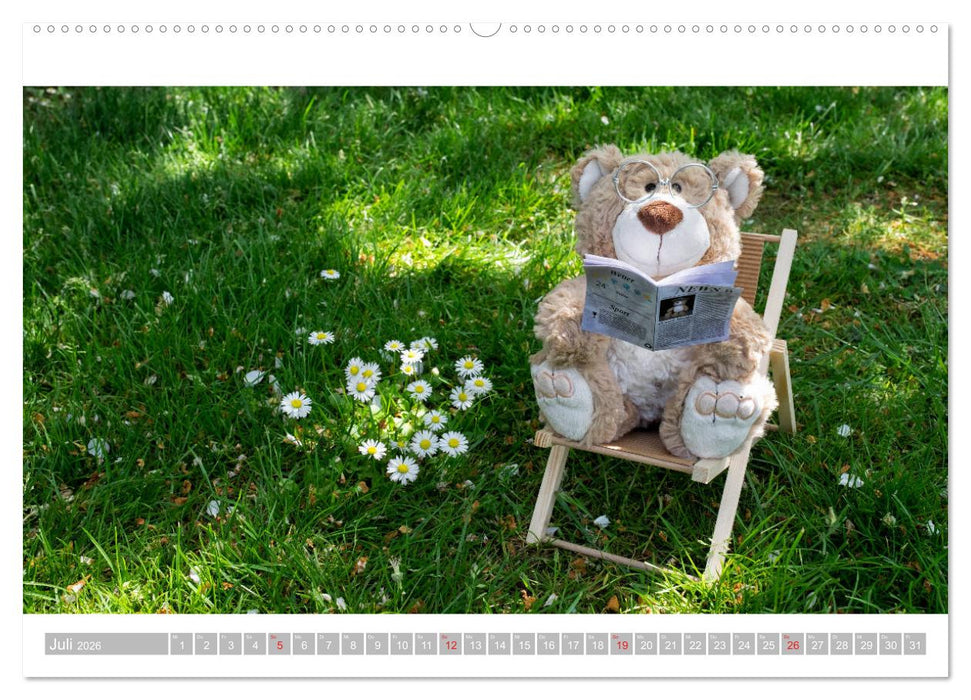 Eddy, der Teddy - 12 Bilder zum Schmunzeln (CALVENDO Premium Wandkalender 2026)