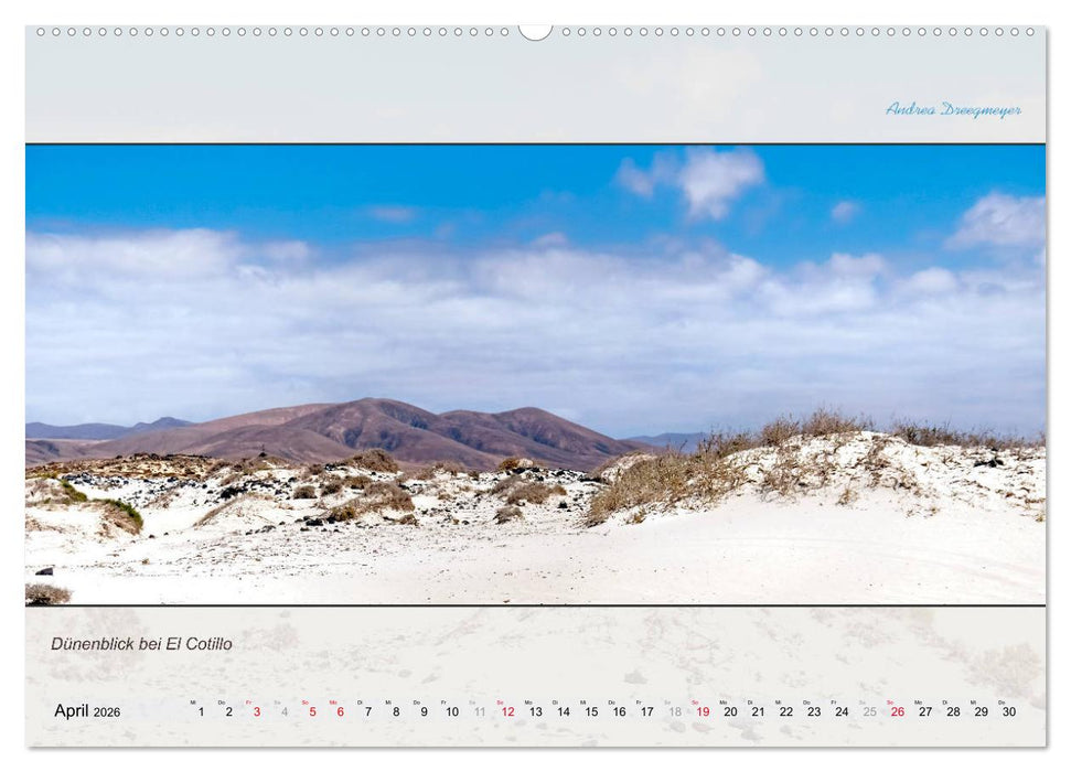 FUERTEVENTURA-PANORAMA (CALVENDO Premium Wandkalender 2026)