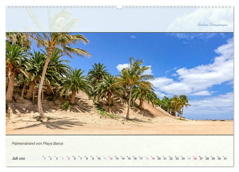 FUERTEVENTURA-PANORAMA (CALVENDO Premium Wandkalender 2026)