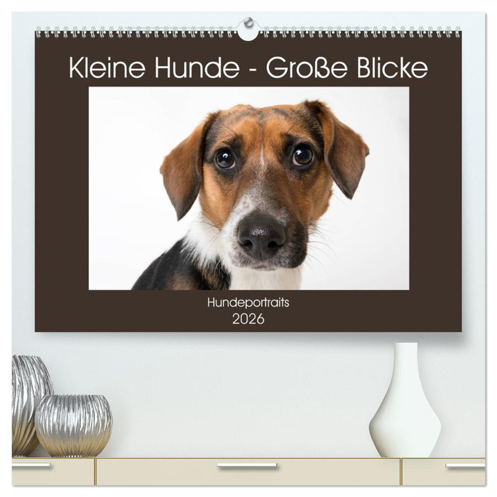 Kleine Hunde - Große Blicke (CALVENDO Premium Wandkalender 2026)