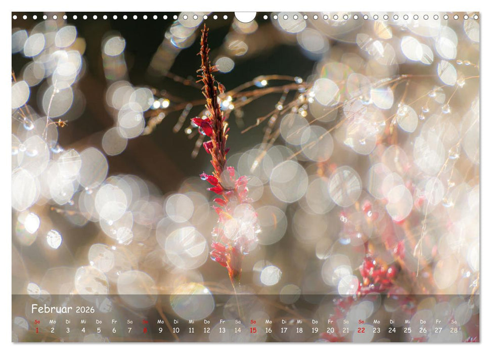 Zauberhaftes Norderstedt (CALVENDO Wandkalender 2026)