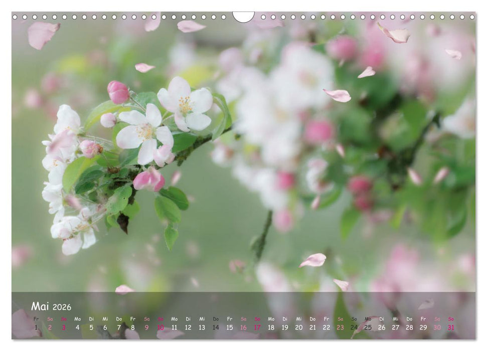 Zauberhaftes Norderstedt (CALVENDO Wandkalender 2026)