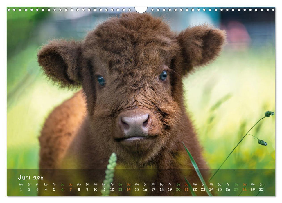 Zauberhaftes Norderstedt (CALVENDO Wandkalender 2026)