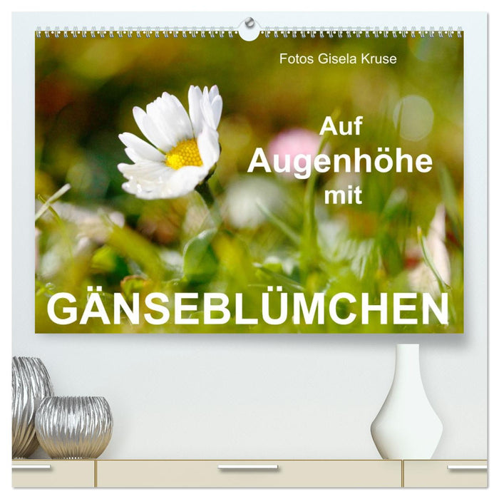 Auf Augenhöhe mit Gänseblümchen (CALVENDO Premium Wandkalender 2026)