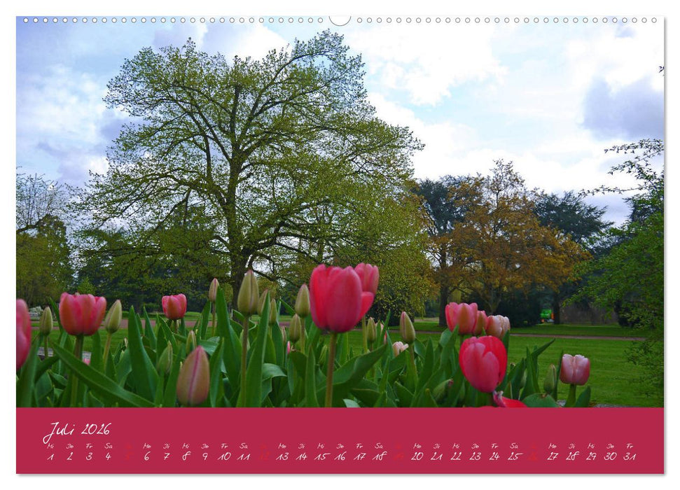Düsseldorfer Nordpark (CALVENDO Premium Wandkalender 2026)