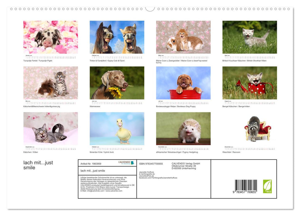 lach mit...just smile (CALVENDO Premium Wandkalender 2026)
