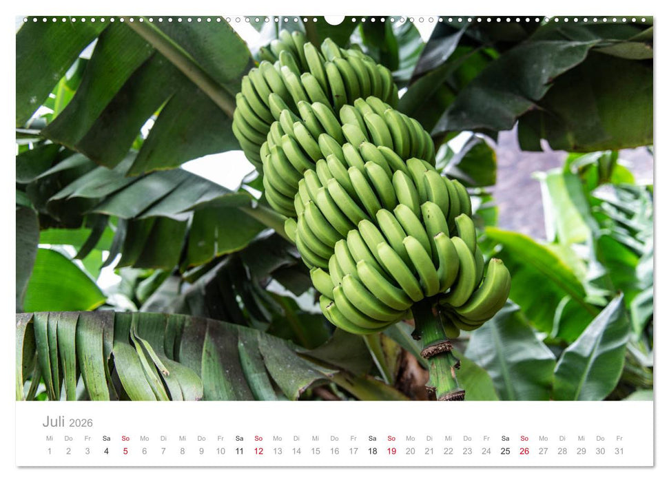 La Gomera – Die grüne Perle der Kanaren. (CALVENDO Premium Wandkalender 2026)