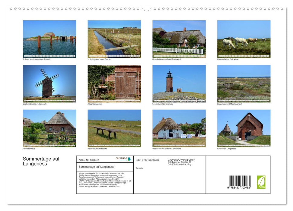 Sommertage auf Langeness (CALVENDO Premium Wandkalender 2026)