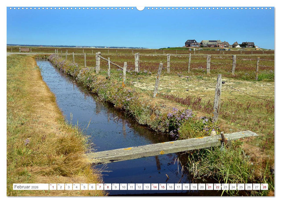 Sommertage auf Langeness (CALVENDO Premium Wandkalender 2026)