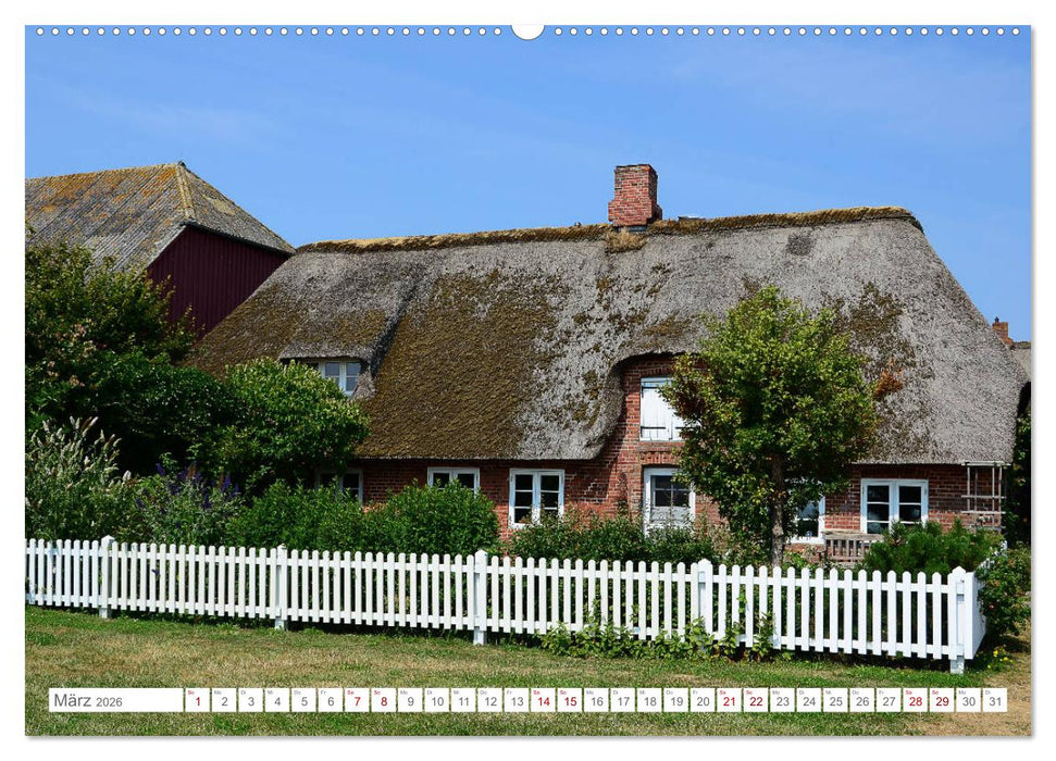 Sommertage auf Langeness (CALVENDO Premium Wandkalender 2026)