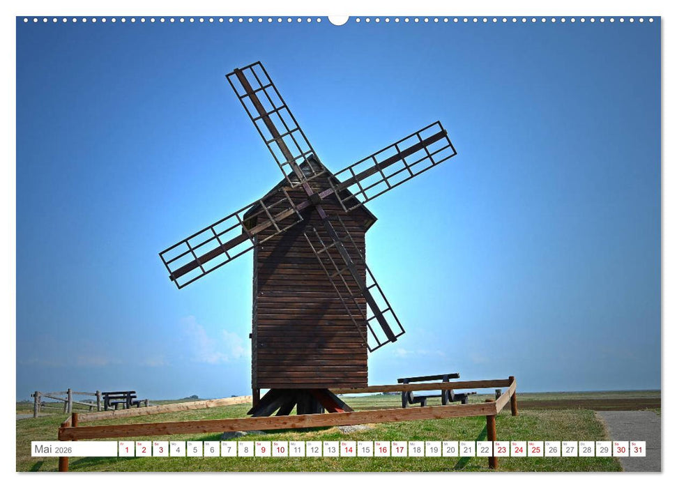 Sommertage auf Langeness (CALVENDO Premium Wandkalender 2026)