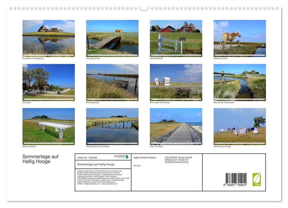 Sommertage auf Hallig Hooge (CALVENDO Premium Wandkalender 2026)