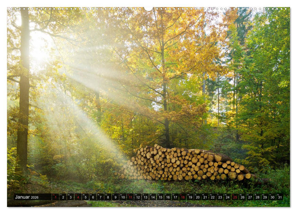 Mühltal Eisenberg (CALVENDO Wandkalender 2026)