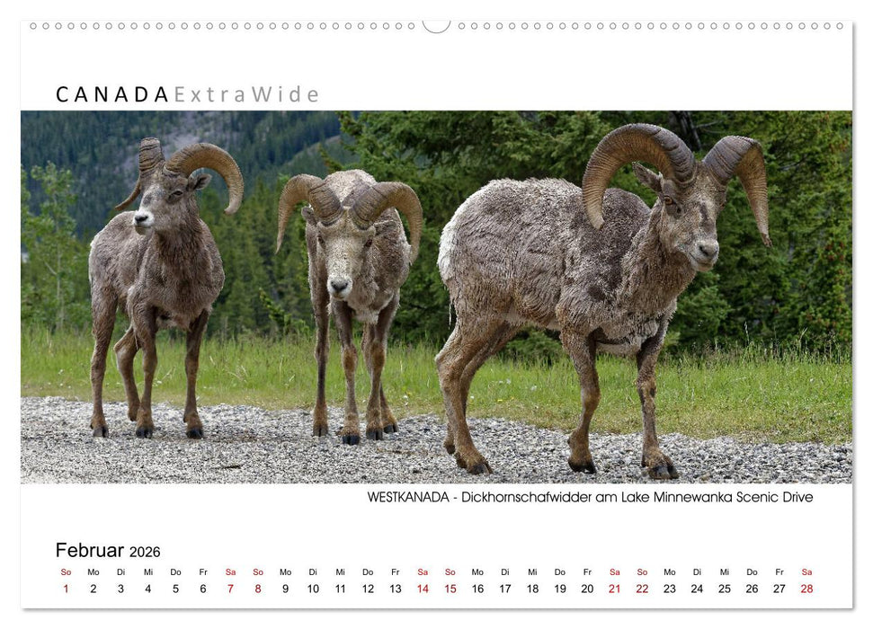 Impressionen aus Westkanada (CALVENDO Wandkalender 2026)