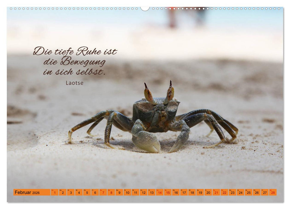 Ruhe und Gelassenheit 2026 (CALVENDO Premium Wandkalender 2026)