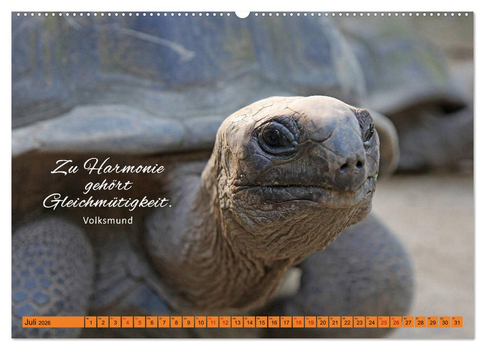 Ruhe und Gelassenheit 2026 (CALVENDO Premium Wandkalender 2026)