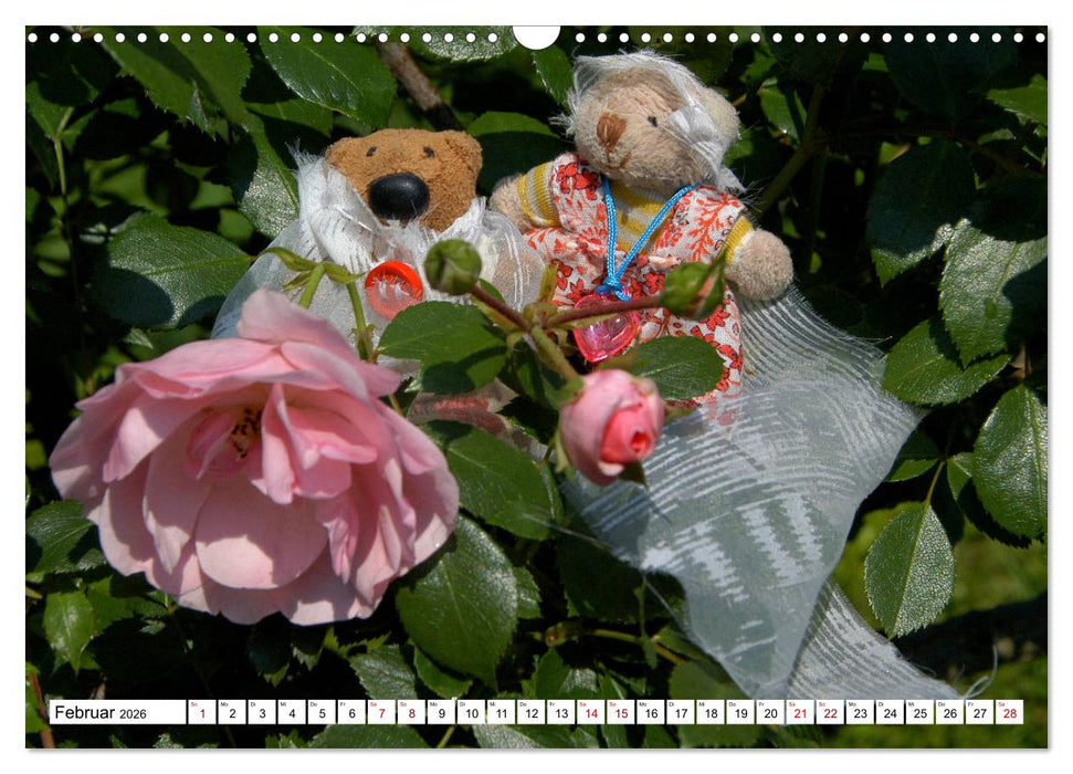Die Hochzeitsbärchen (CALVENDO Wandkalender 2026)