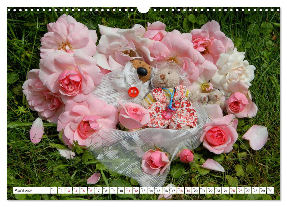 Die Hochzeitsbärchen (CALVENDO Wandkalender 2026)