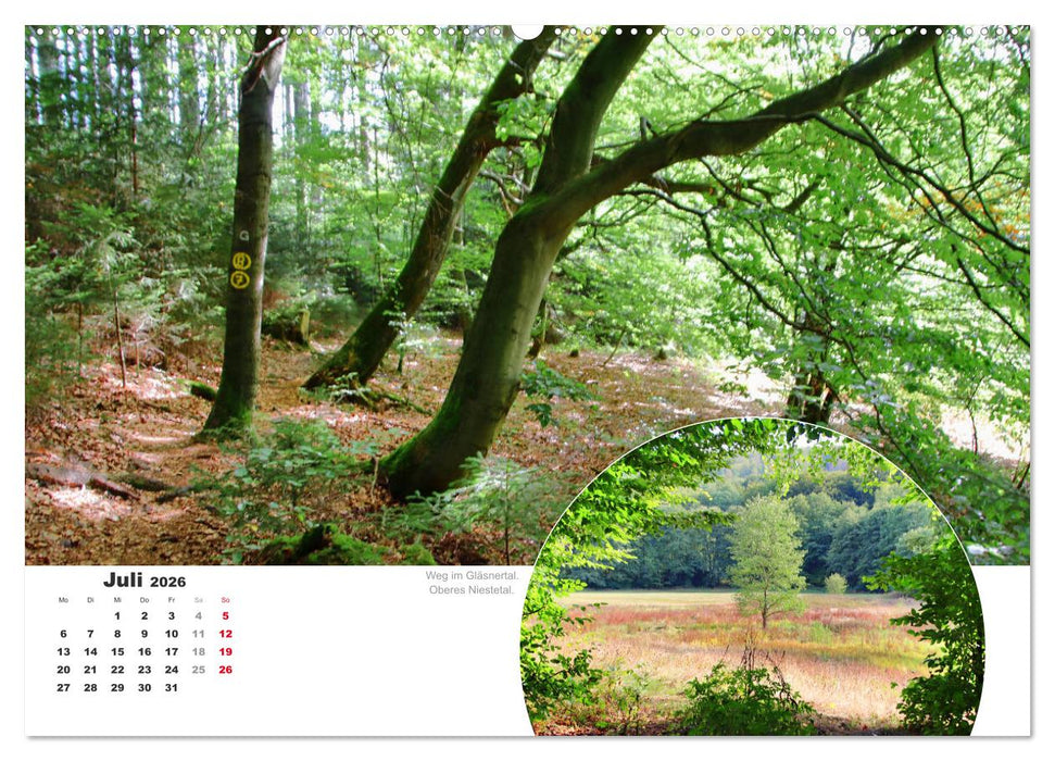 Der Grimmsteig (CALVENDO Premium Wandkalender 2026)