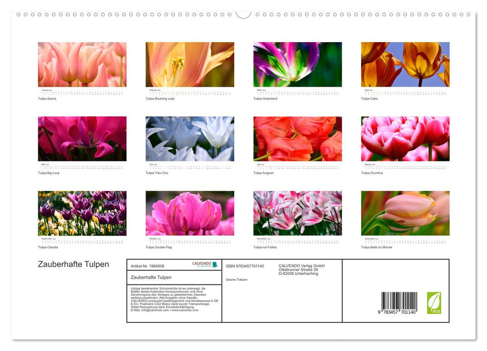 Zauberhafte Tulpen (CALVENDO Premium Wandkalender 2026)