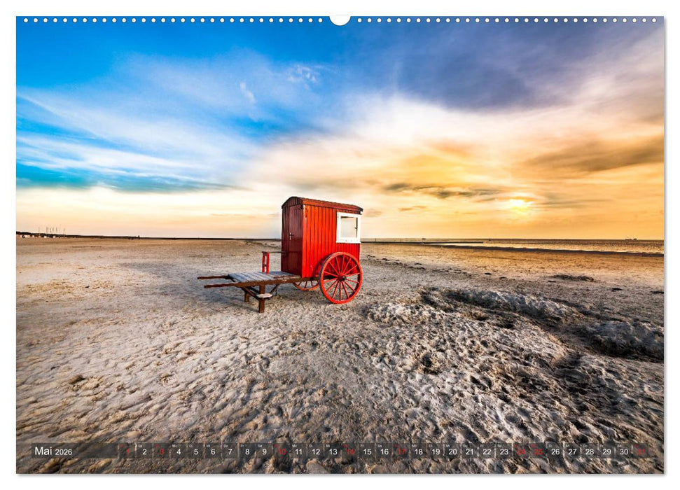 Farbspiele im Licht der Sonne (CALVENDO Premium Wandkalender 2026)