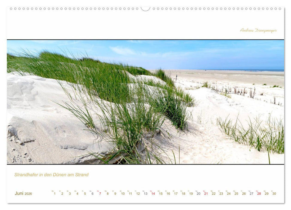 Borkum Inselpanorama (CALVENDO Premium Wandkalender 2026)
