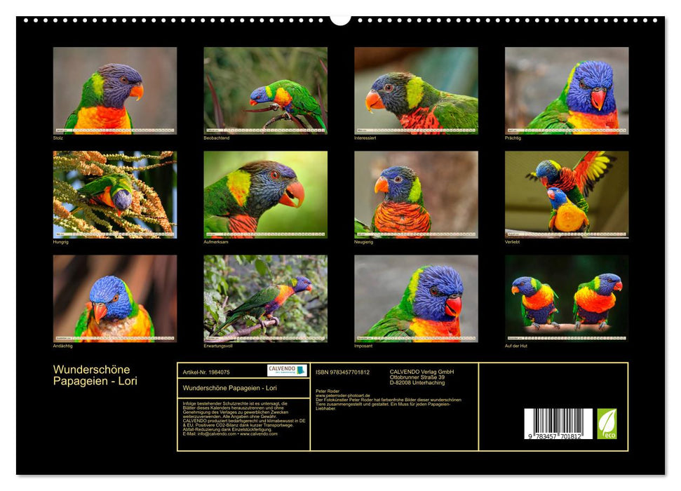 Wunderschöne Papageien - Lori (CALVENDO Premium Wandkalender 2026)